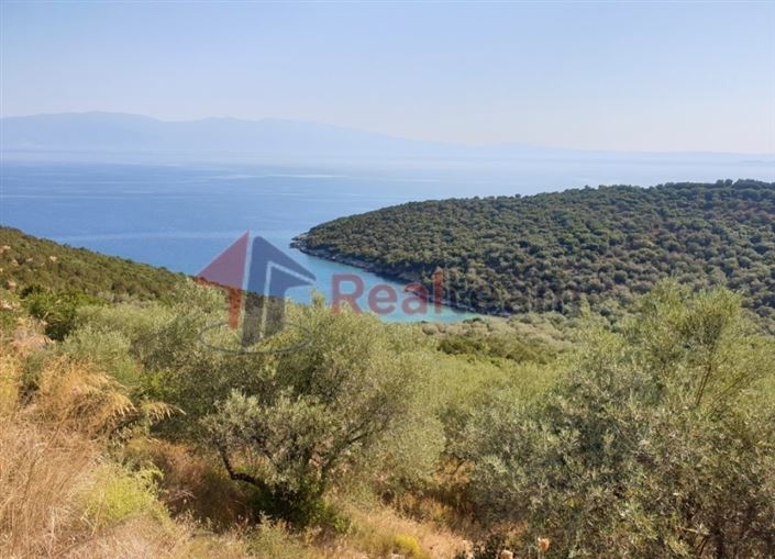Image No.1-Property for sale