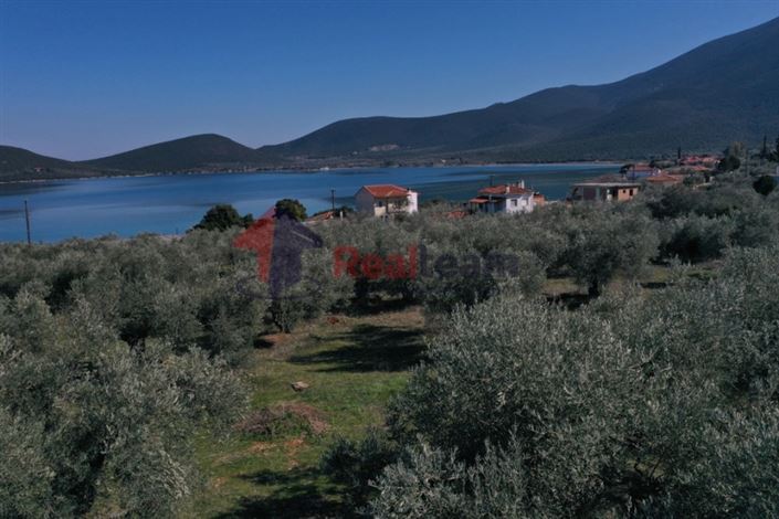 Image No.10-Plot for sale