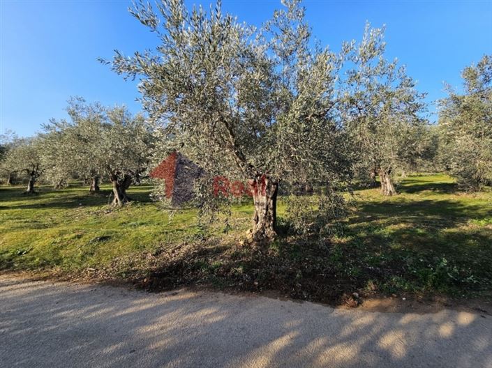 Image No.13-Plot for sale