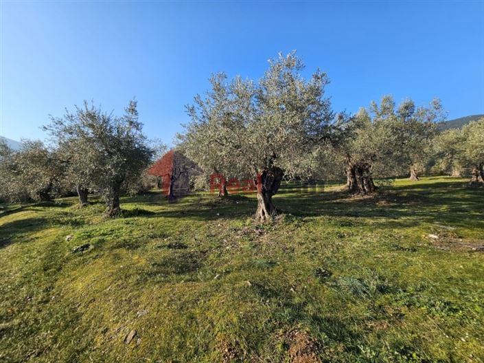 Image No.17-Plot for sale