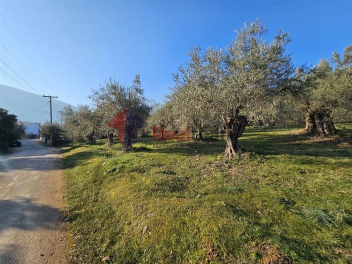 Image No.18-Plot for sale