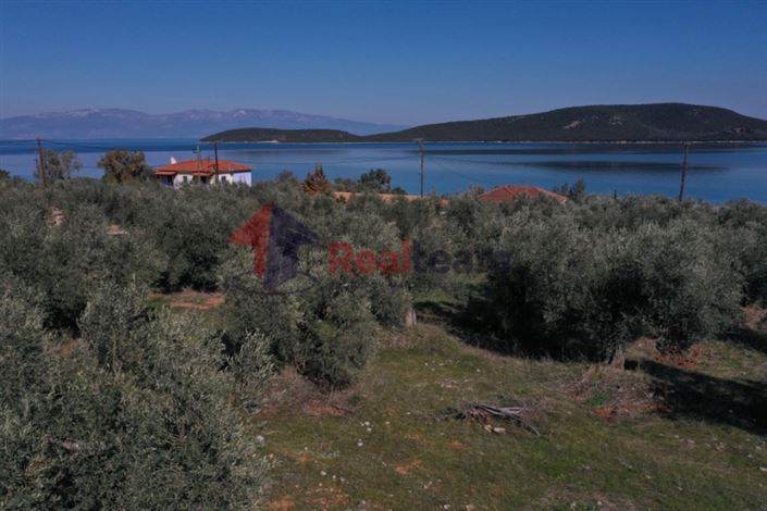 Image No.7-Plot for sale