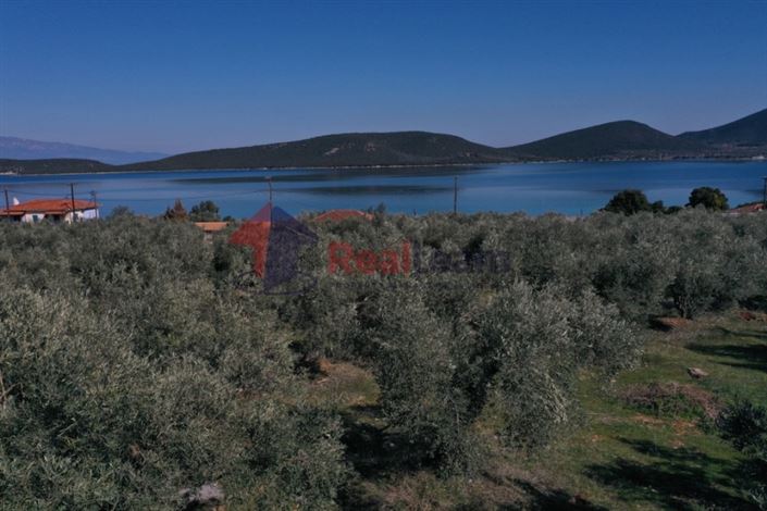 Image No.8-Plot for sale