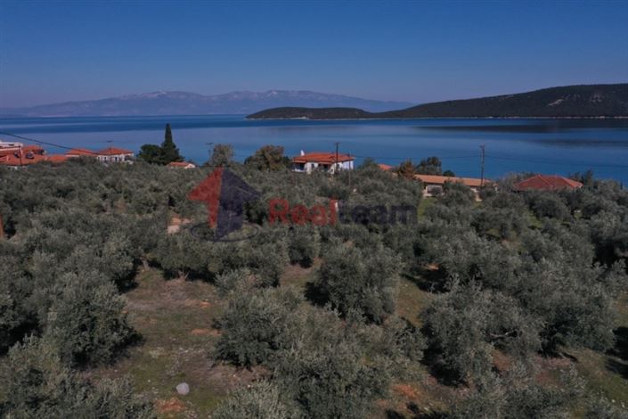 Image No.9-Plot for sale