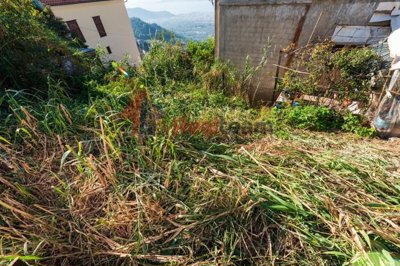 imgf98047dd-5344-4eaf-9358-fbb8036f78bc