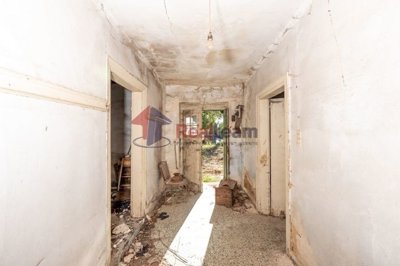 imgf58615f9-07cd-434b-a057-cd6c1ecf6e0c