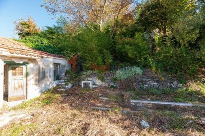 imga116ea99-c18b-4d2f-b374-1945031c8f13