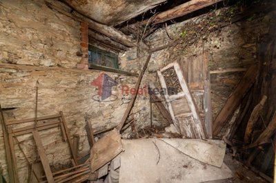 img01fe7210-2d53-4f24-b5c9-c9af1a5e3d3d