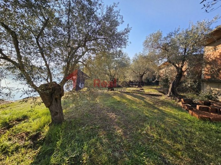 Image No.7-Property for sale