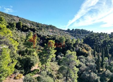 img05128e9b-e914-49f2-a50b-43731a1d10df