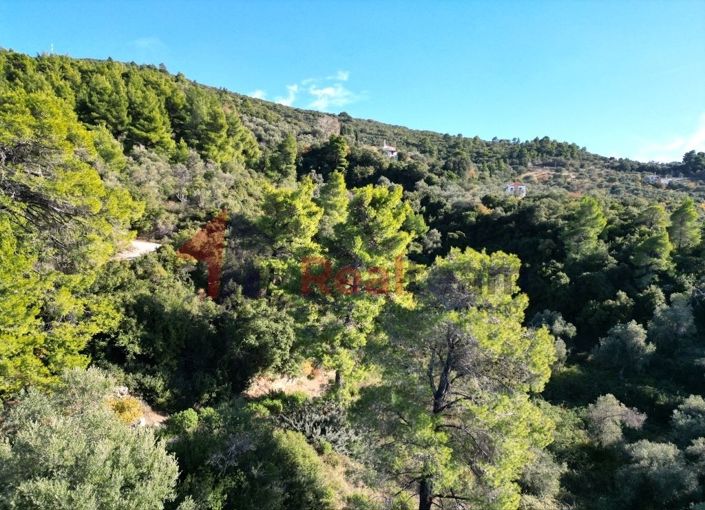 Image No.15-Property for sale