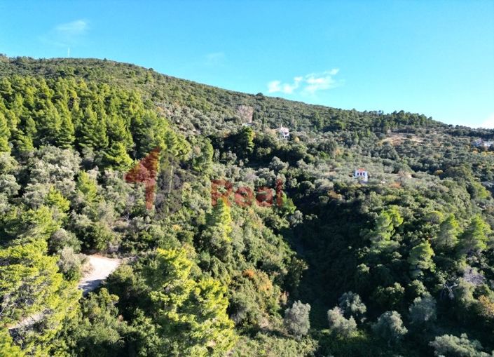 Image No.16-Property for sale