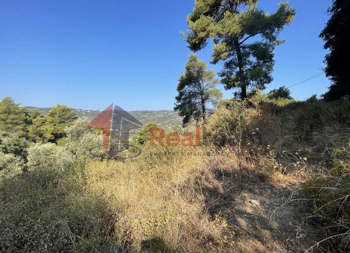 Image No.17-Property for sale