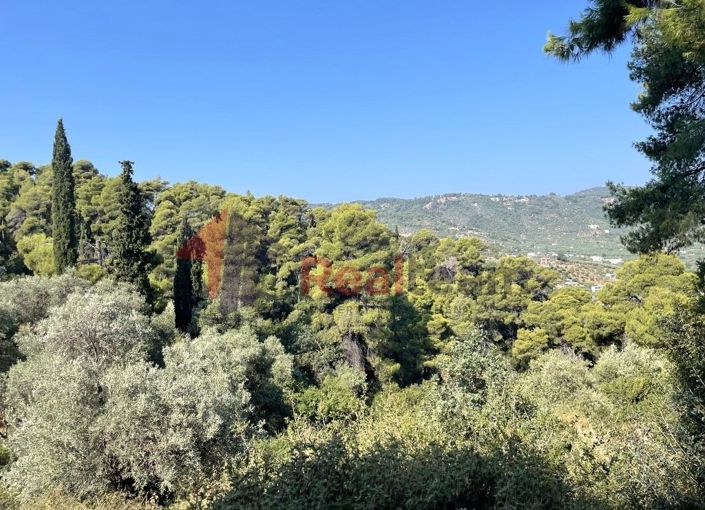 Image No.20-Property for sale