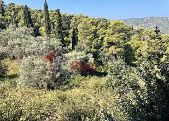 Image No.23-Property for sale