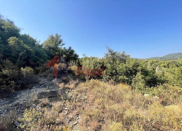 Image No.24-Property for sale