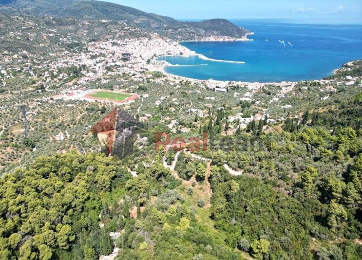 Image No.5-Property for sale