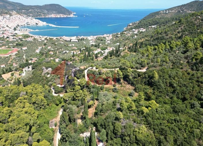 Image No.9-Property for sale