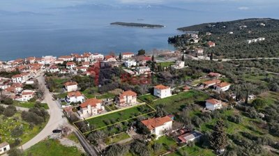 img2966ef53-7f15-47f0-a22e-48ddecaed6a5