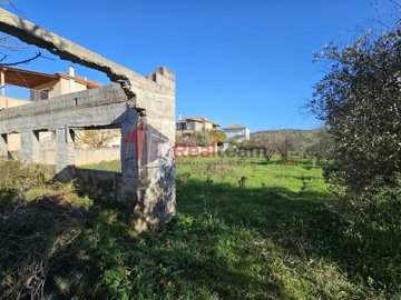 img6728a9e8-e94e-4dca-a994-10621f92158c