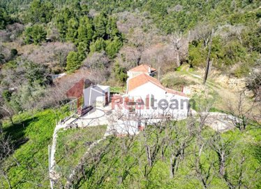 f8397cd6d03a496c9698bcae72065101