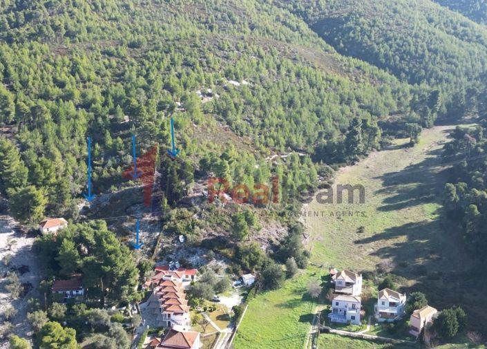 Image No.12-Property for sale