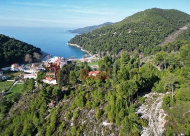 imgf8c462c3-276b-44c7-8edc-7b11957f1634