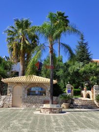 img2207a58a-03fb-4ce7-bc6a-cca3209ae65e