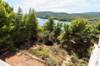 img7160c187-d2d9-49f8-851c-79b8d9de89b9