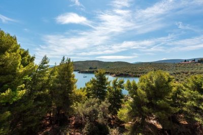 img8a34ba44-7978-4e48-9299-431182d5cc8f