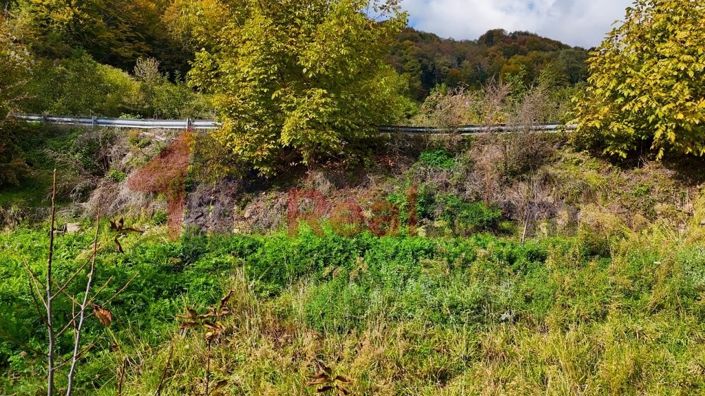 Image No.11-Property for sale