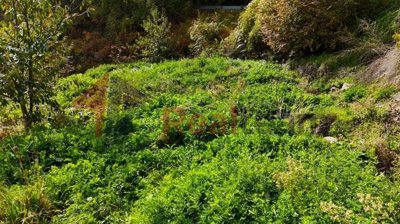 imga96ccb7d-f2a1-4b67-ae6e-523b3ced79b3