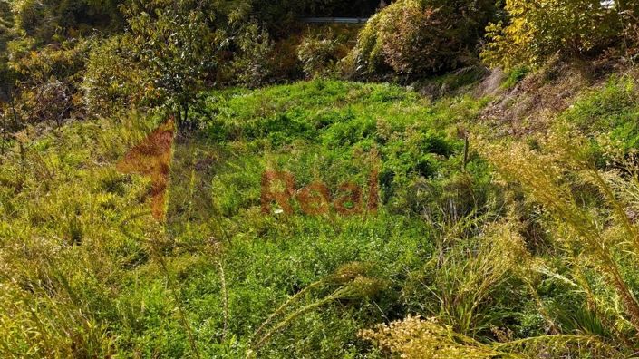 Image No.13-Property for sale