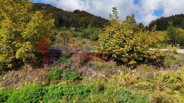 Image No.17-Property for sale