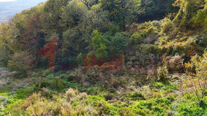 Image No.18-Property for sale