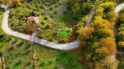 img898033f2-5a4c-481f-87e8-05b3ef2fba75