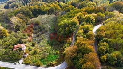 img97132c22-c063-49ea-abfd-9e07dddf76a7