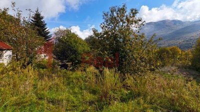 img5456b174-b4b3-41d0-b63b-1284216a0cd3