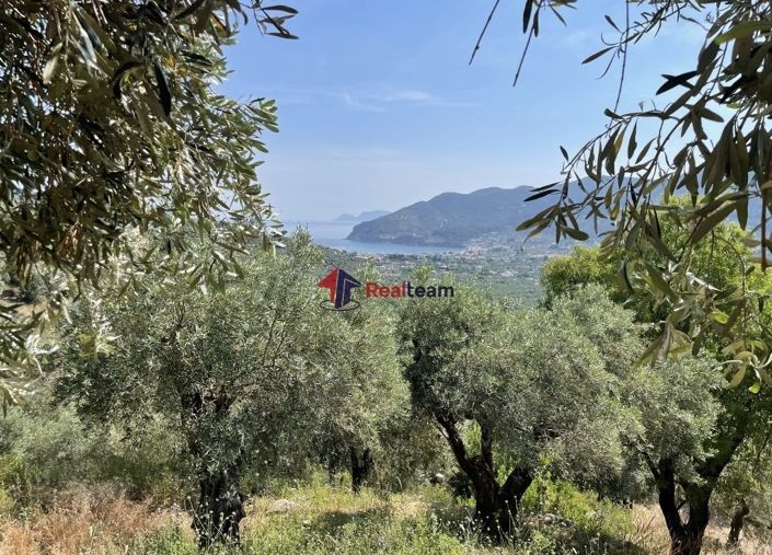 Image No.20-1 Bed Property for sale