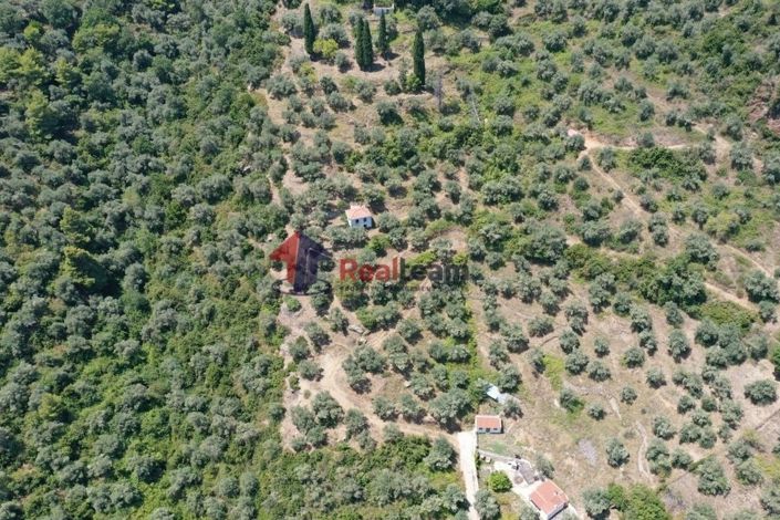 Image No.3-1 Bed Property for sale