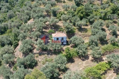 img6f935c14-eb0c-4697-b4b3-eb2c6d661369