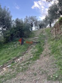 img2a1c108a-1e1a-417b-98ca-97568715e4c3