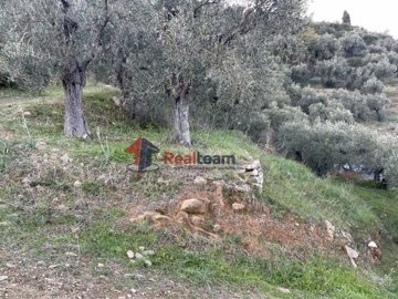 img26336c2e-8516-42b9-9e55-b08f77f07b33