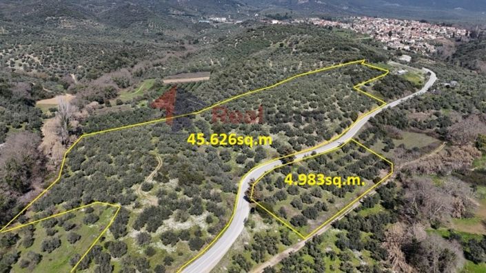 Image No.1-Property for sale