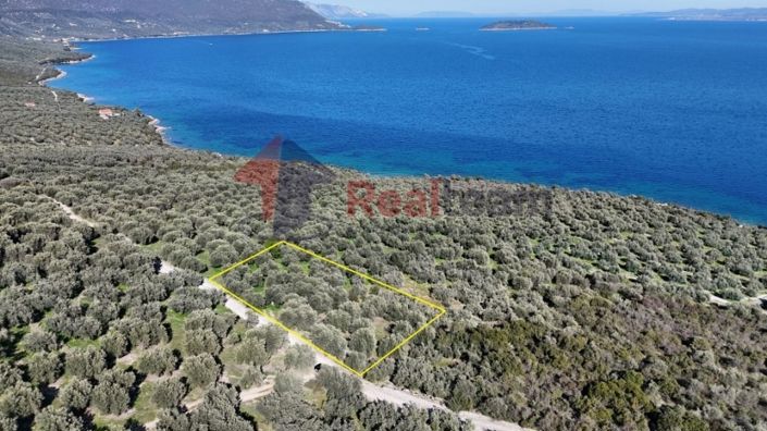 Image No.1-Property for sale