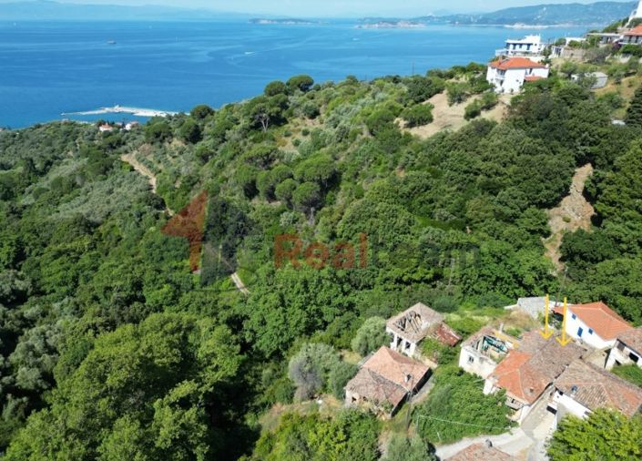 Image No.1-Property for sale