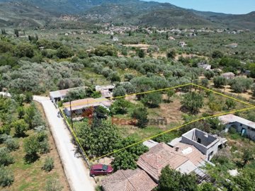 img4067990d-c936-4ac9-90a6-3835b4f61682