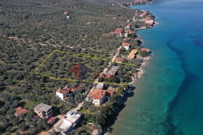 f50f54893f674706a4fc87e727ff78a0