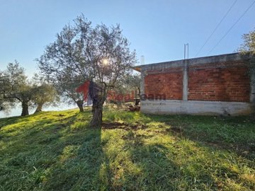 a26fbee40e2b4736a82e220ae0523838