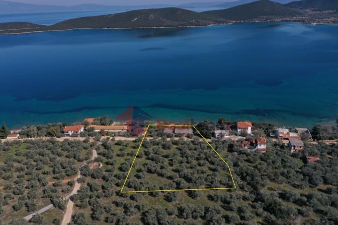 Image No.41-Property for sale